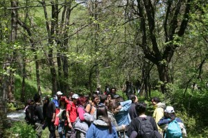 Φύση – όρια – υλικά, A’ και Β’ μέρος, 1ο Εργαστήριο