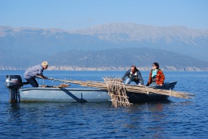 Οι Πρέσπες στη …Θεσσαλονίκη, ή αλλιώς μια εικαστική πορεία που χαρτογράφησε και ενεργοποίησε πρωτογενείς εικαστικές διαδικασίες στη συνοριακή περιοχή των Πρεσπών.